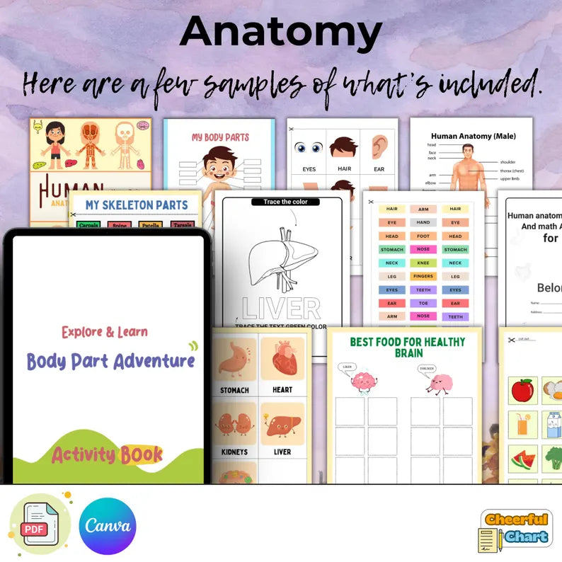 Massive Kids Learning Bundle - 15,000 Printable Resources
