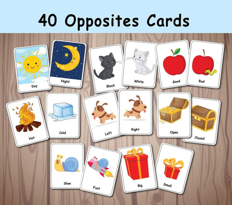 Opposites Matching Activity FlashCards, Printable Activity, Pairing Cards, Preschool Memory Game, First Grade, Special Education, Homeschool Resource