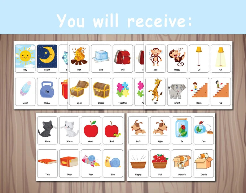 Opposites Matching Activity FlashCards, Printable Activity, Pairing Cards, Preschool Memory Game, First Grade, Special Education, Homeschool Resource