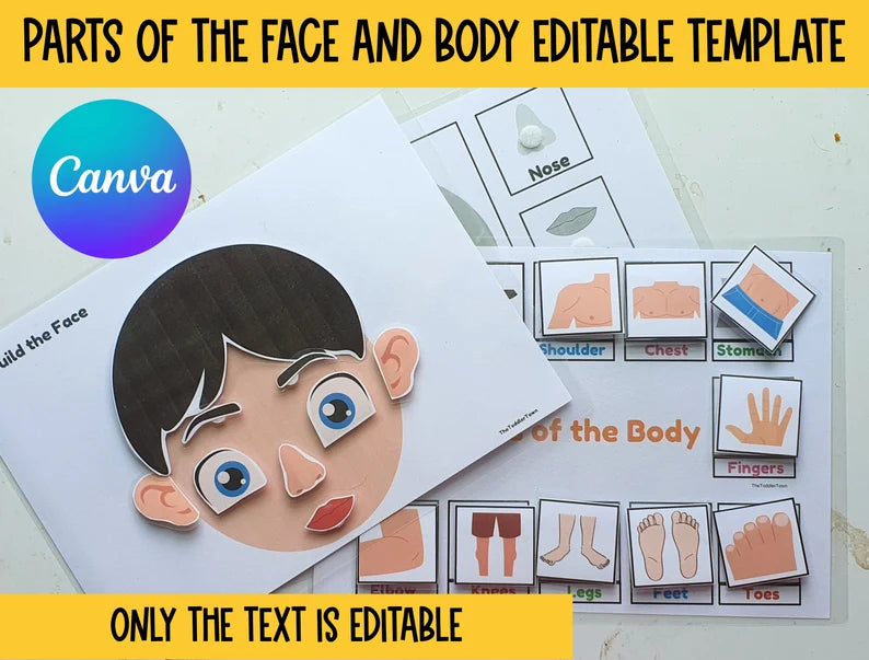 Editable Toddler Busy Book - Preschool Learning Binder (Printable PDF)